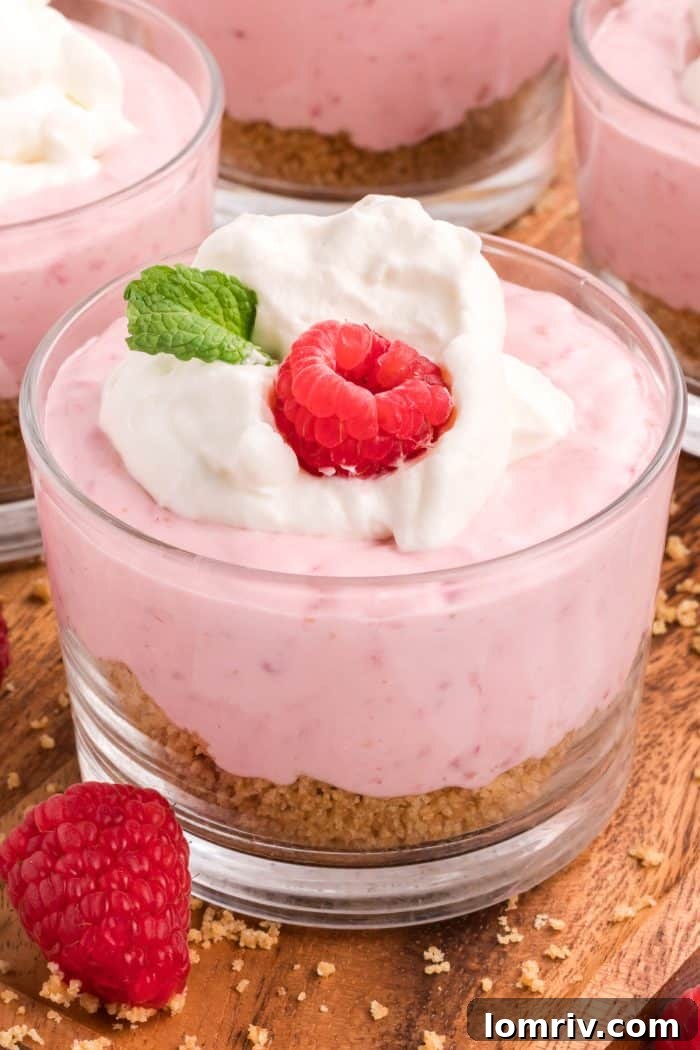 A beautifully presented glass dish of raspberry mousse, garnished and ready.