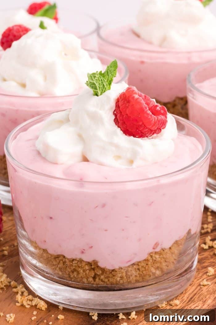 A single glass serving dish with raspberry mousse, ready for its final garnish.