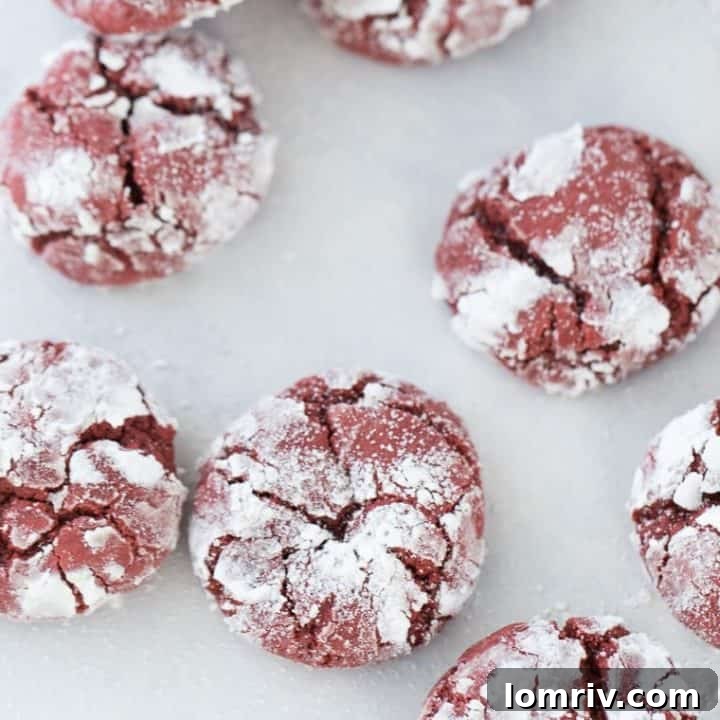 Vibrant red velvet crinkle cookies coated in powdered sugar, creating a beautiful cracked surface.