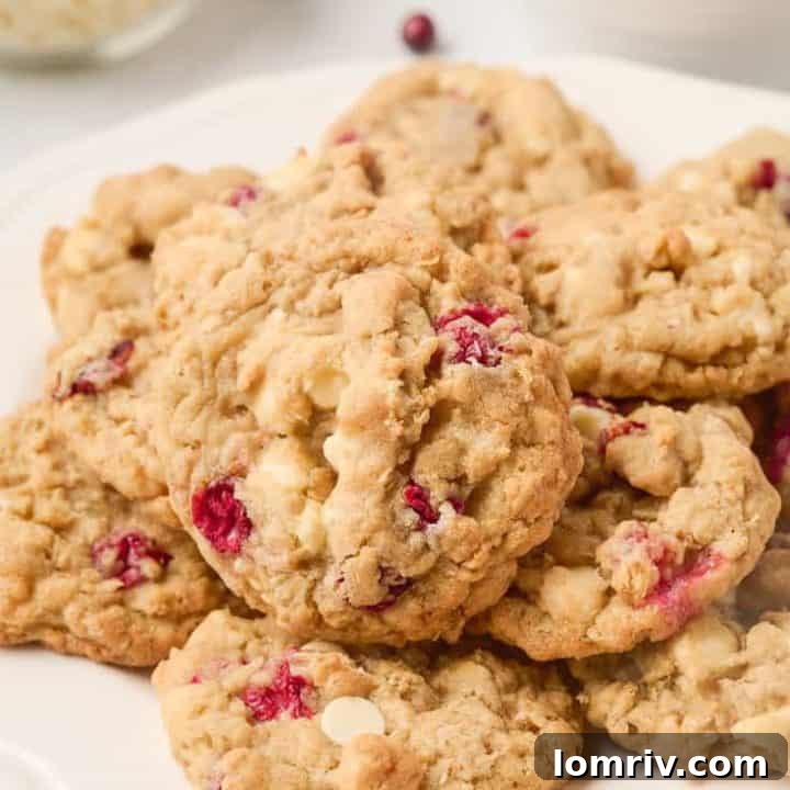 Chewy oatmeal cookies with vibrant red cranberries and creamy white chocolate chips.