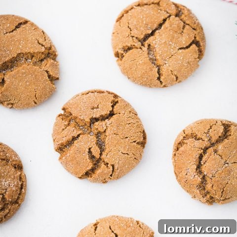 Chewy gingerbread chai cookies with a dusting of powdered sugar, showcasing their spiced texture.