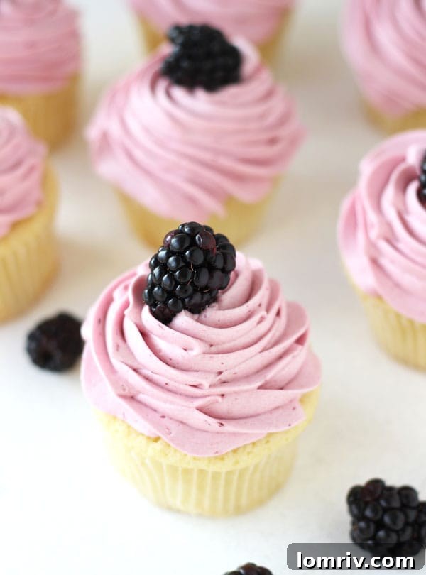 Fluffy Blackberry Lime Cupcakes with fresh blackberries