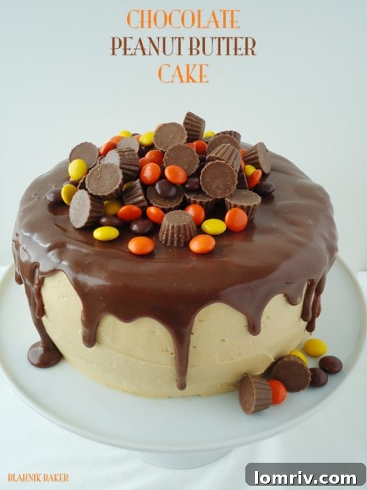 Chocolate Peanut Butter Cake