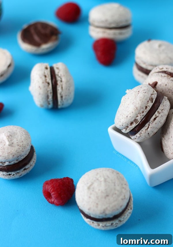 Exquisite Hazelnut Macarons with Luscious Chocolate Chambord Ganache Filling