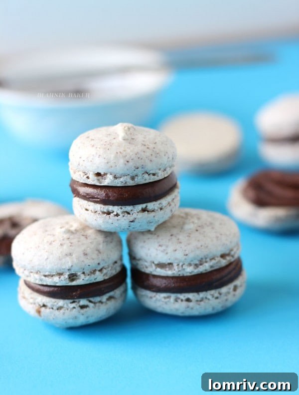 Stacked Hazelnut Macarons with Chocolate Raspberry Filling