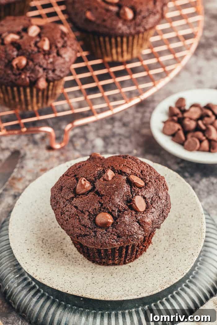 A double chocolate muffin on a white plate with chocolate chips in the background. 