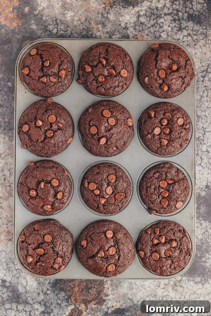 A muffin pan filled with baked double chocolate muffins.