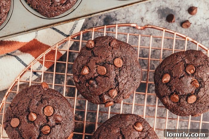 Four double chocolate muffins on a cooling rack. 