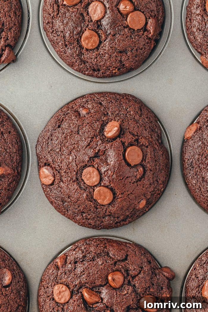 A close up of the chocolate muffins in the muffin pan.