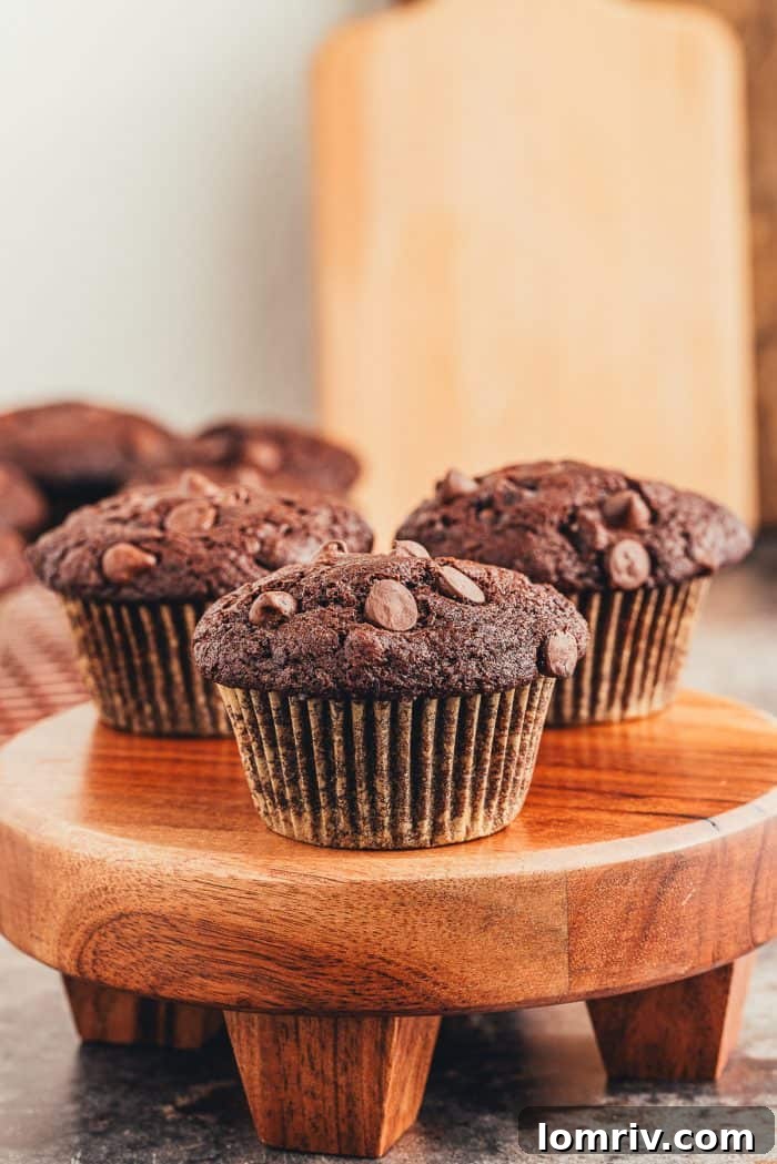 A wooden tray with three double chocolate muffins on it.