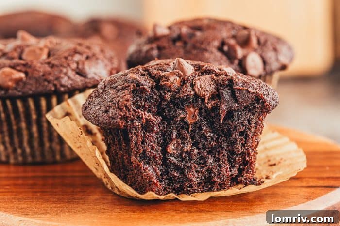 A close up of a double chocolate muffin with a bite taken out of it. 