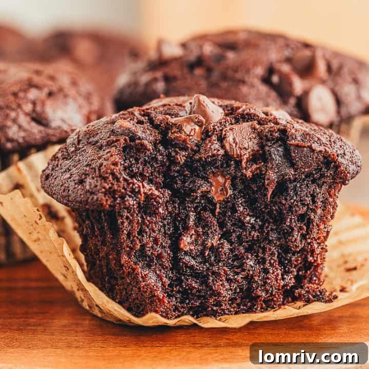A close up of a double chocolate muffin with a bite taken out of it.