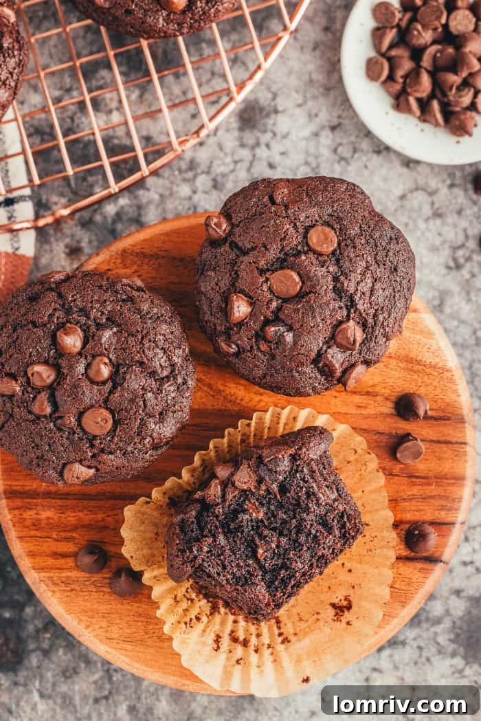 A wooden board with three double chocolate muffins and one is on its side with a bite taken out of it.