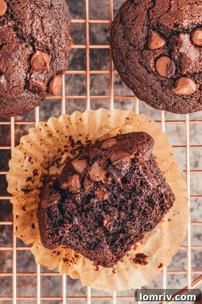 A close up of a double chocolate muffin with a bite take out of it, laying on a cooling rack with two other muffins.