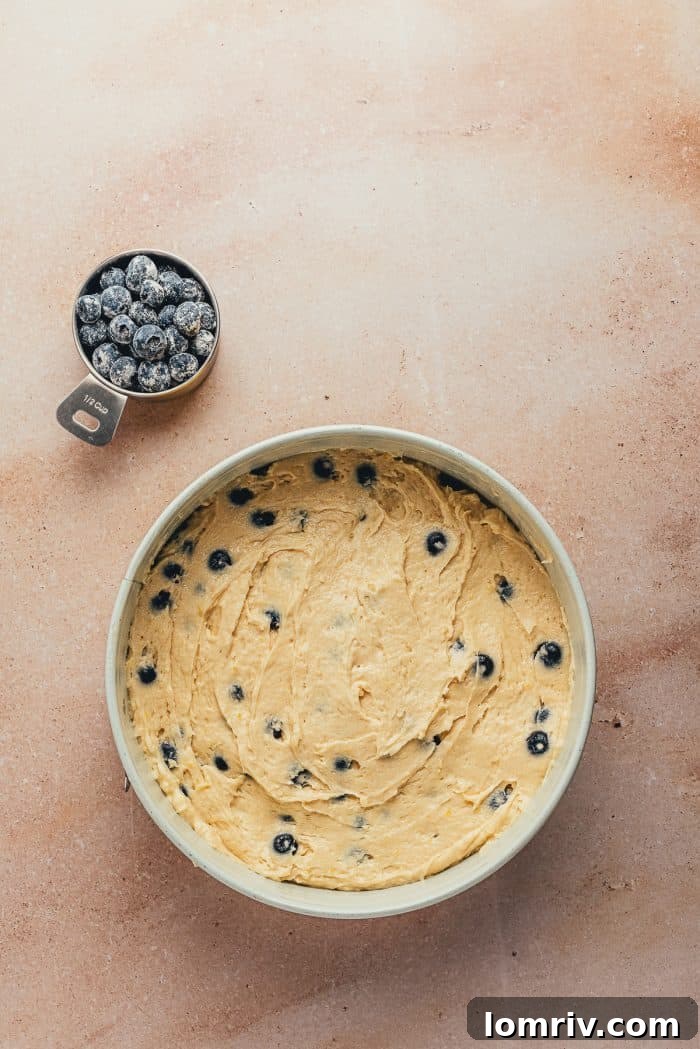 A cake pan filled with the thick, luscious blueberry coffee cake batter, spread evenly and ready for its toppings.