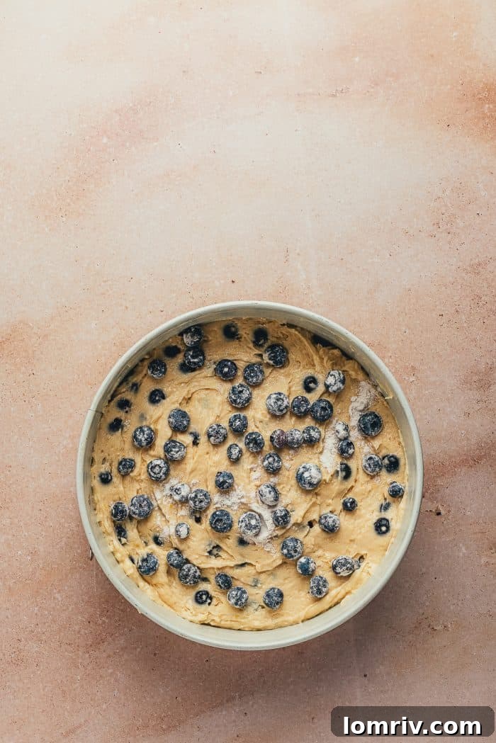 The cake pan with blueberry coffee cake batter, now topped with a scattering of fresh blueberries, awaiting the final streusel layer.