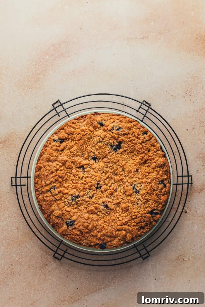 A freshly baked blueberry sour cream coffee cake, removed from its pan and cooling completely on a wire rack.