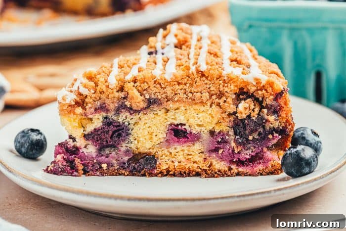 A perfectly baked slice of blueberry sour cream coffee cake, showing its moist crumb and juicy blueberries, resting on a pristine white plate.