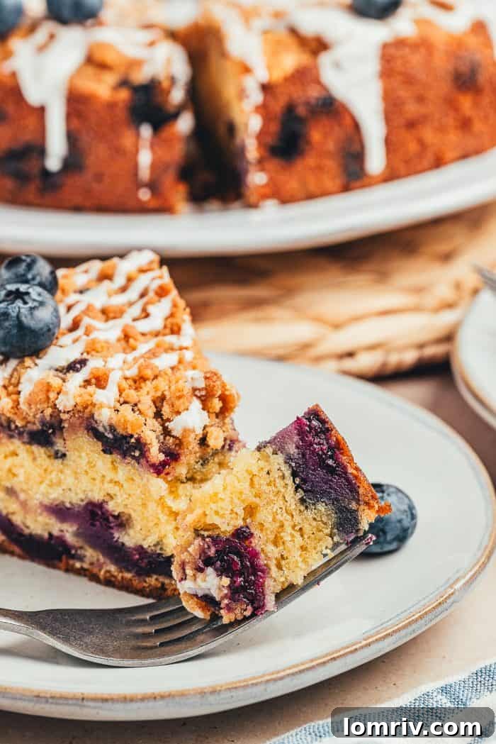 Another enticing view of a slice of blueberry sour cream coffee cake, highlighting its golden-brown streusel, fluffy cake, and pockets of sweet blueberries.