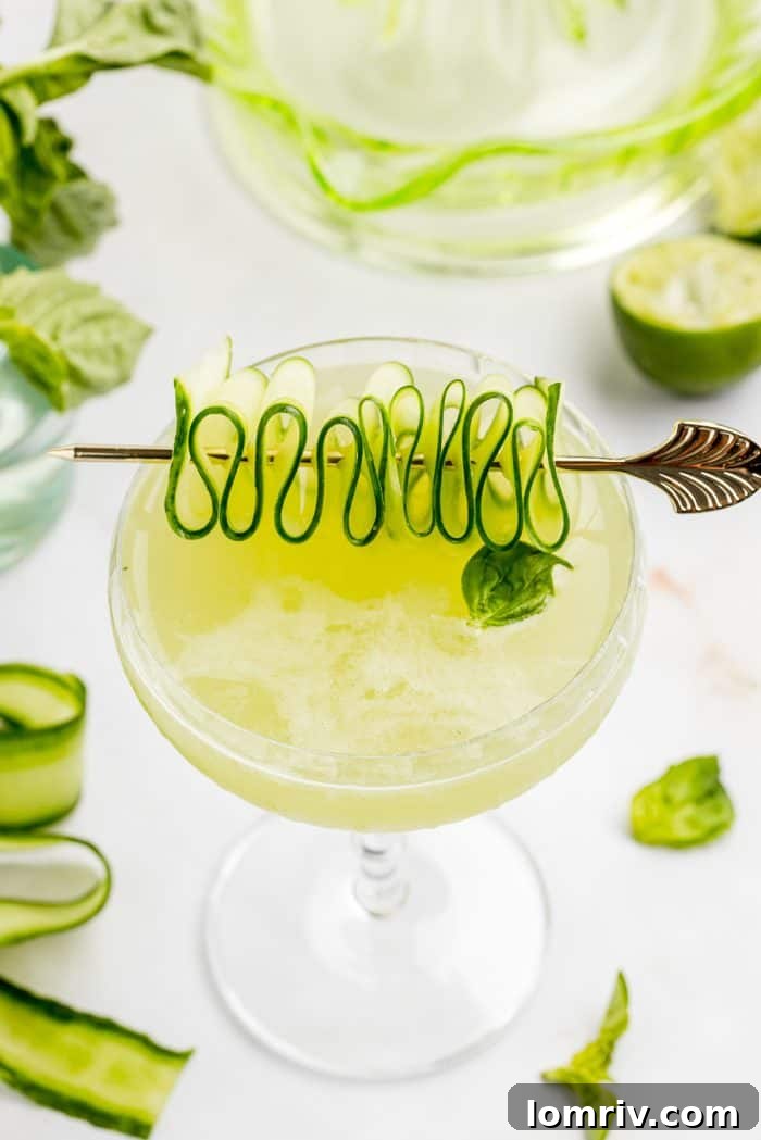 A chilled Cucumber Basil Gimlet, beautifully presented with a ribbon of cucumber and fresh basil leaves.