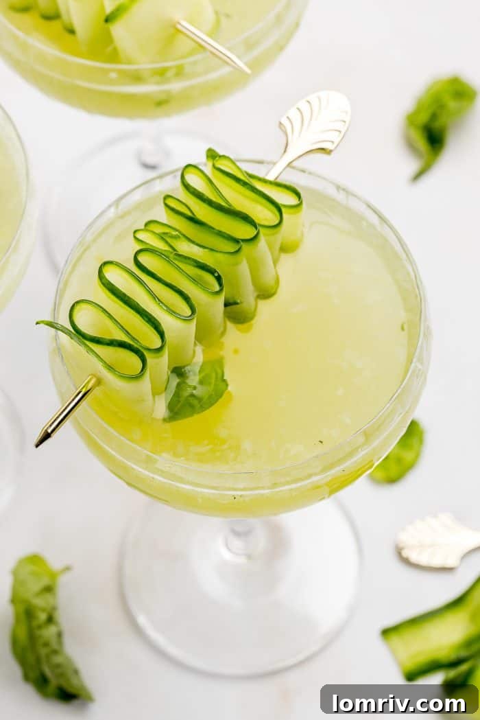 A pristine Cucumber Basil Gimlet, garnished with a spiraling cucumber ribbon and a fragrant basil leaf.