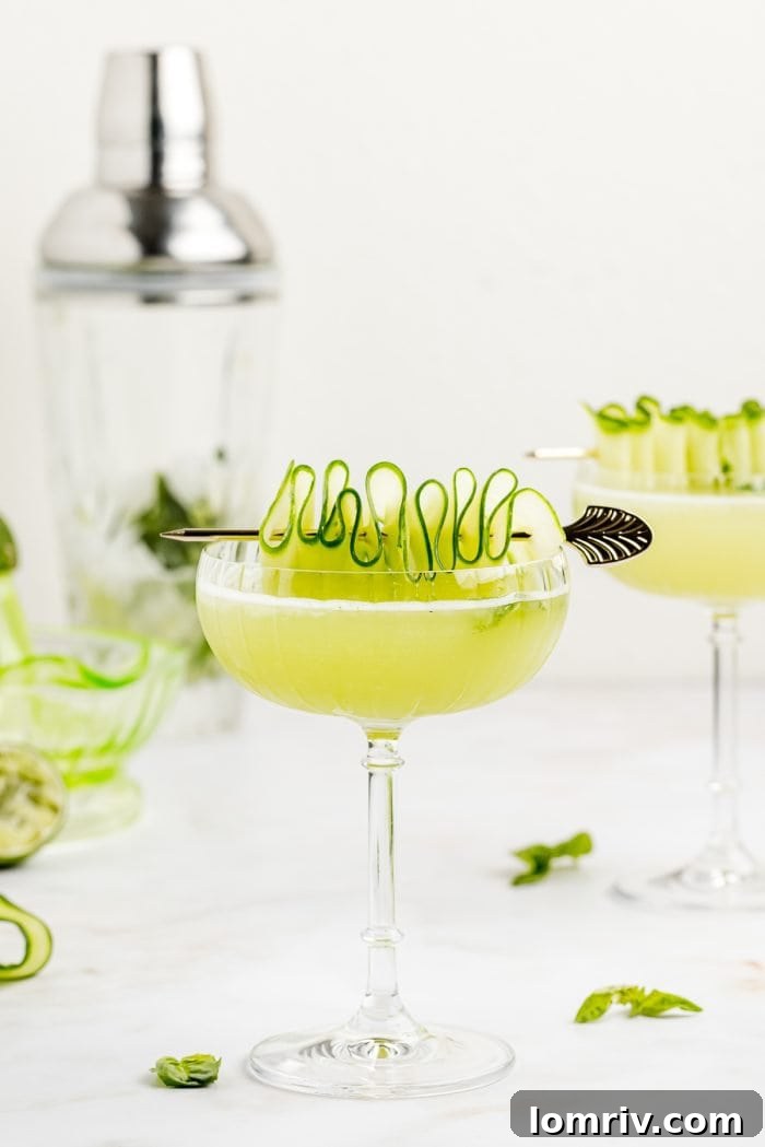 A refreshing Cucumber Basil Gimlet in a cocktail glass, adorned with a cucumber ribbon and fresh basil.