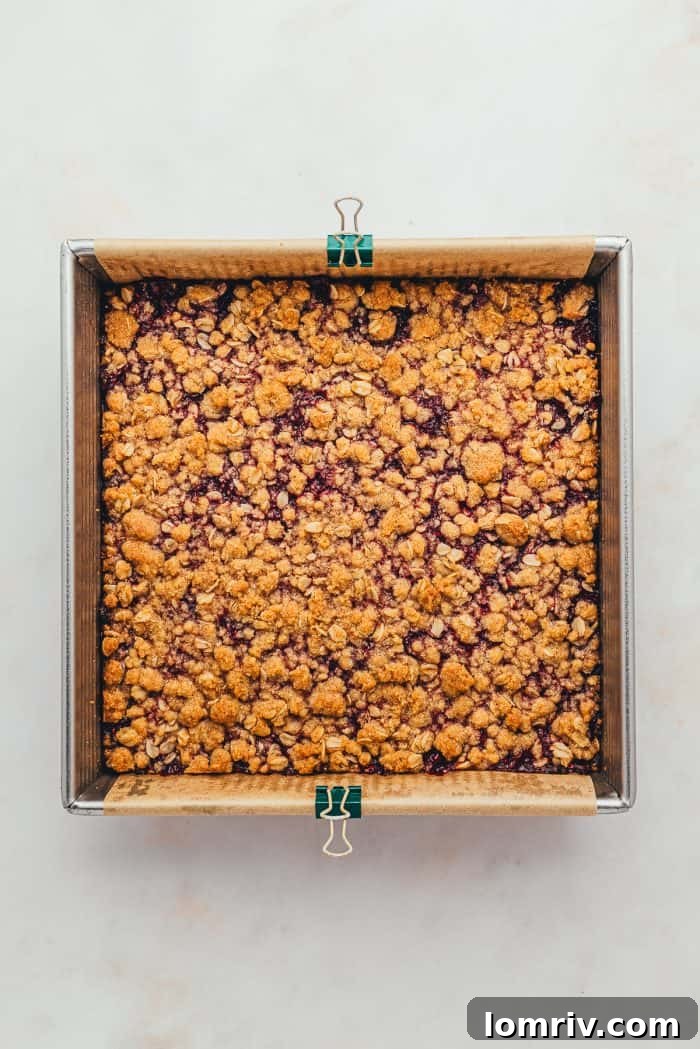 The baked raspberry crumble bars.