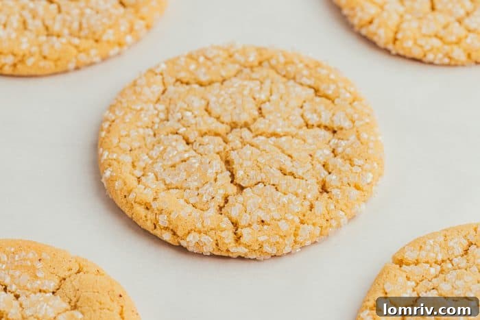 Various brown butter cookies neatly arranged on parchment paper, ready for baking.