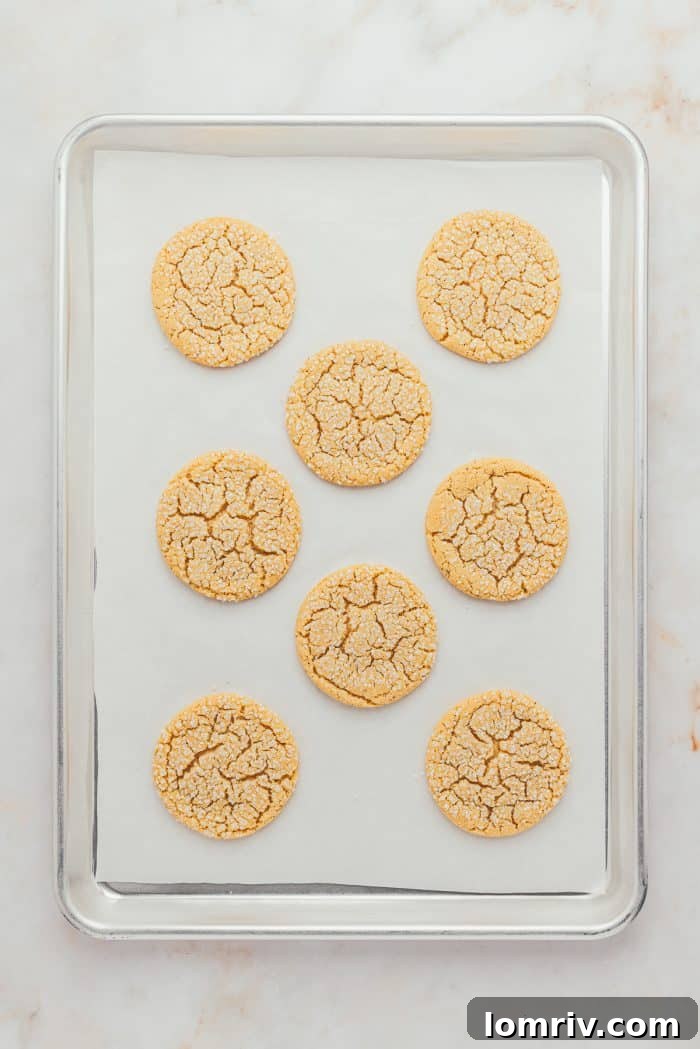 A cookie tray fresh from the oven, showcasing perfectly baked brown butter sugar cookies with golden edges.