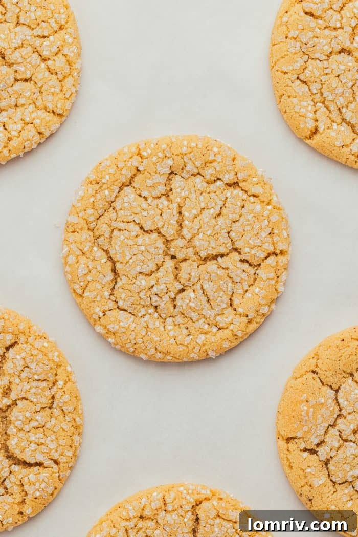 Various brown butter cookies cooling on parchment paper after being freshly baked.