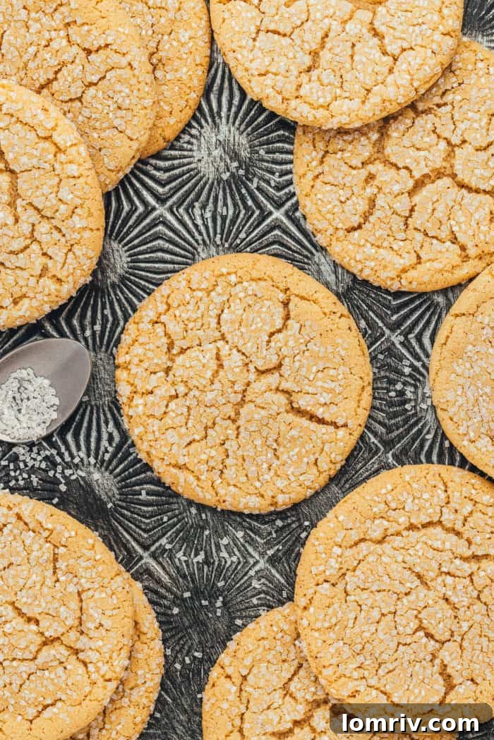 Various brown butter sugar cookies artfully arranged on a vintage cookie tray, showcasing their perfect texture.