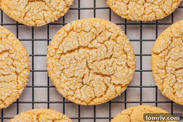 A cooling rack with various browned butter sugar cookies, perfectly golden and ready to be enjoyed.