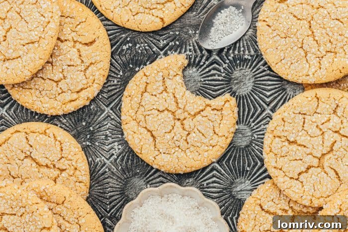 Various brown butter sugar cookies on a vintage cookie tray, with one cookie having a bite taken out, showing its delicious texture.