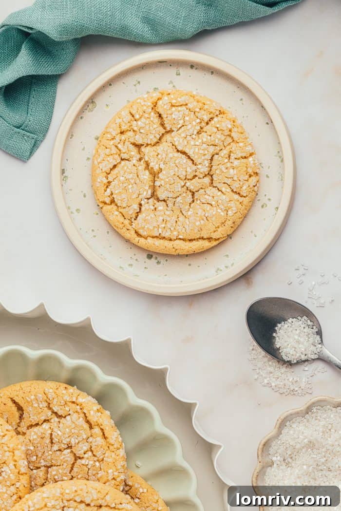 A white plate featuring a delectable brown butter cookie with a bite taken out, revealing its soft, chewy interior.