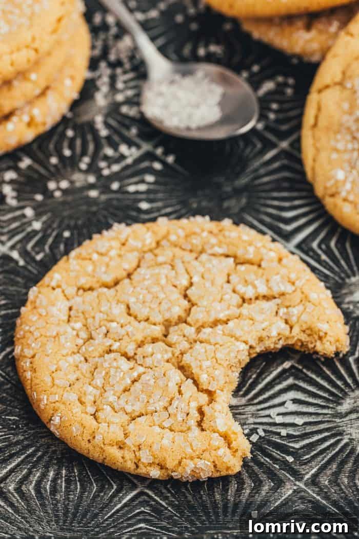 Various brown butter sugar cookies on a vintage cookie tray, with one cookie having a bite taken out, showing its delicious inside.