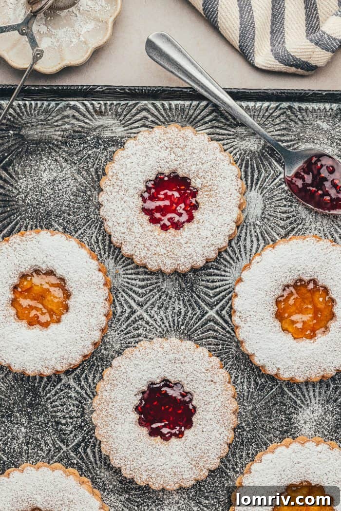 An array of various Spiced Hazelnut Linzer cookies beautifully displayed on an antique cookie tray, ready for a holiday celebration.