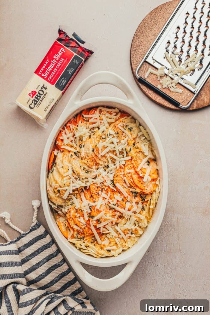 Shredded cheddar cheese being added to the partially baked gratin.