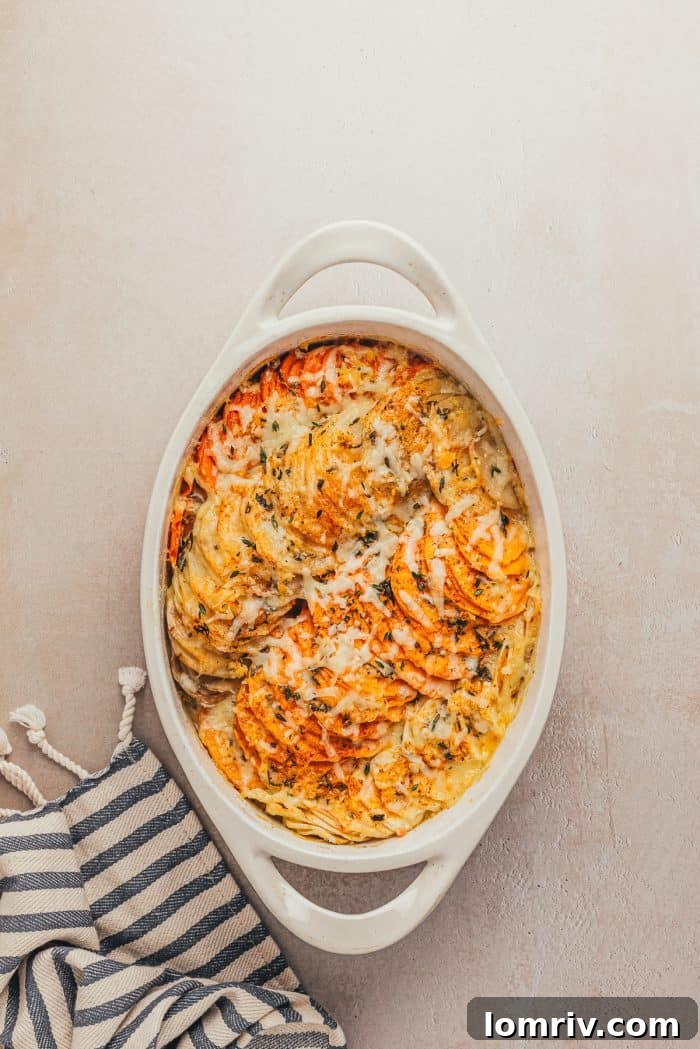 A beautifully baked root vegetable gratin with a golden-brown cheesy crust in a white baking dish.