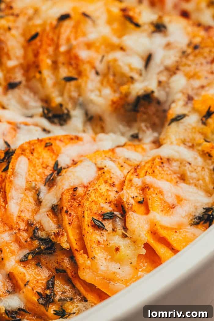 A dish of root vegetable gratin with melted cheese on top