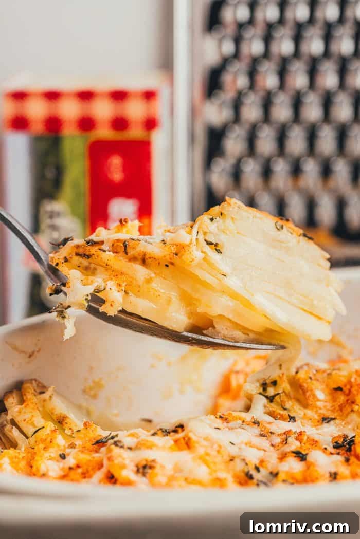 Baked root vegetable gratin, freshly out of the oven