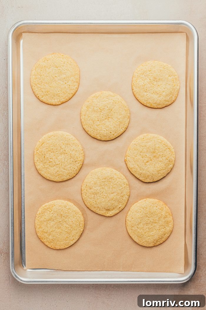 Golden-edged baked lemon sugar cookies cooling on a baking tray lined with parchment paper.