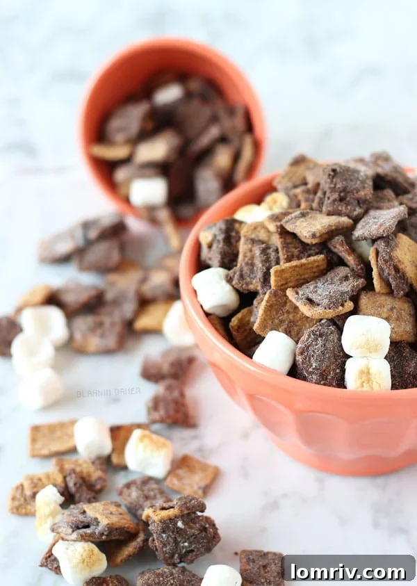 Close-up of Peanut Butter S'mores Muddy Buddies, showcasing their texture