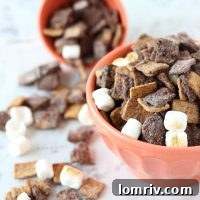 Peanut Butter S'mores Muddy Buddies recipe image