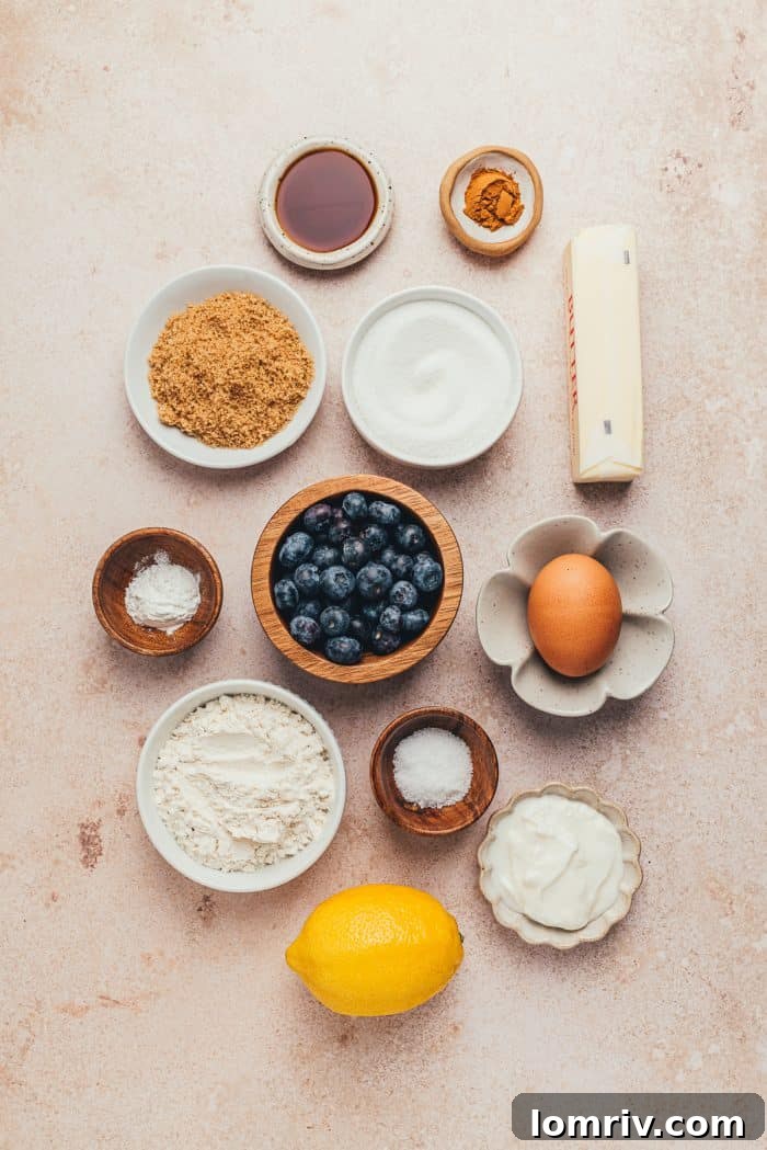 All the fresh ingredients meticulously laid out for baking a blueberry crumb cake.