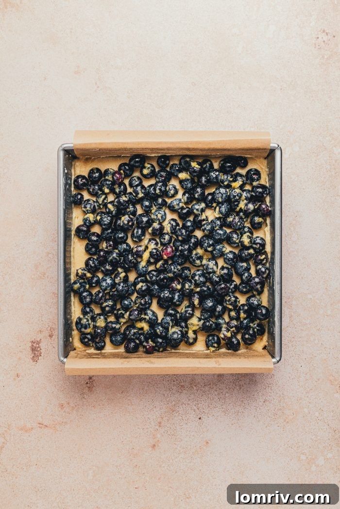 The cake batter and blueberry mixture in the prepared pan, topped with the crumb streusel, ready for baking.