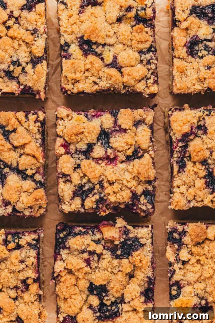 Nine perfectly baked slices of blueberry crumb cake arranged on a serving platter, ready to be enjoyed.