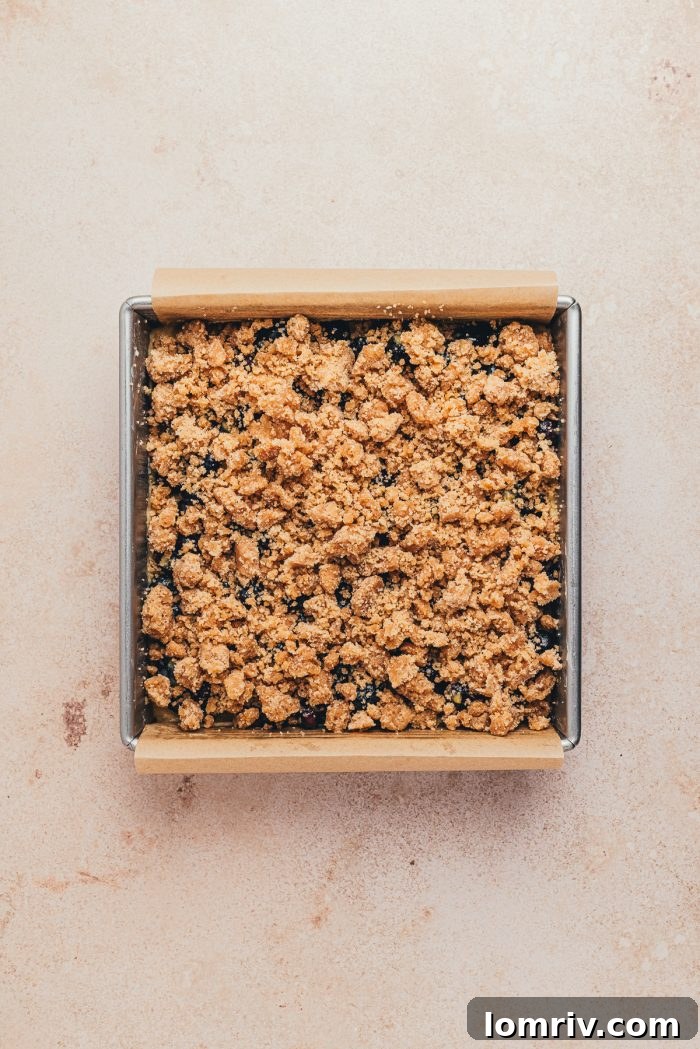 An unbaked blueberry crumb cake, beautifully assembled with its layers of batter, blueberries, and streusel.