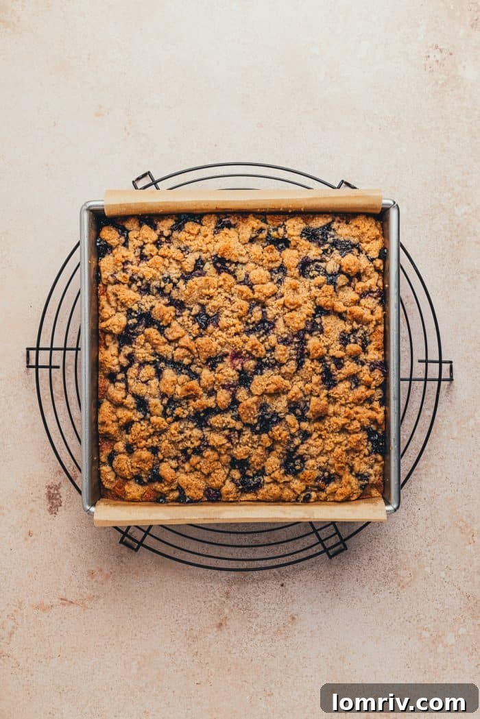 A freshly baked blueberry crumb cake, golden and inviting, cooling on a wire rack in its pan.