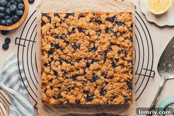 A baked blueberry crumb cake, perfectly removed from its pan, resting on a cooling rack.