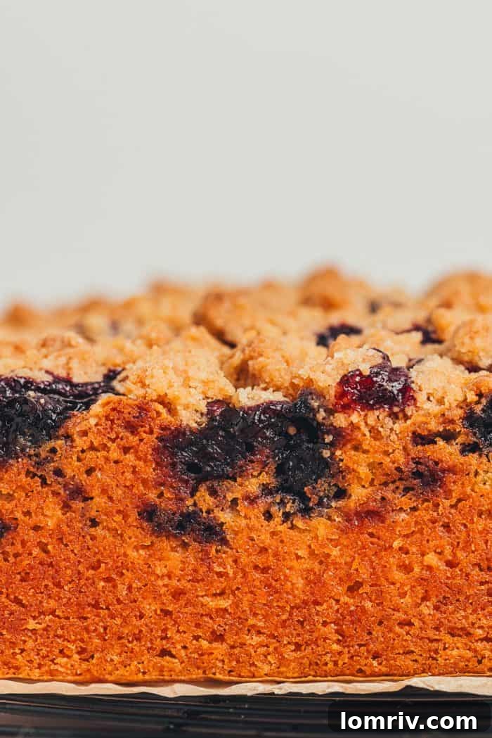 A beautiful side view of a blueberry crumb cake, showing the distinct layers of cake, fruit, and crumb.